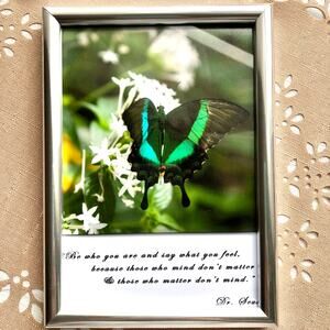 NEW Framed Butterfly on Jasmine Flower Print with Dr. Seuss Quote